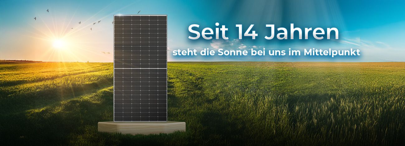 CW Enerji Solarmodul