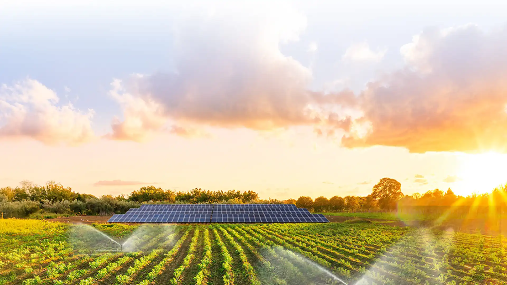 Solar-Powered Agricultural Irrigation Systems
