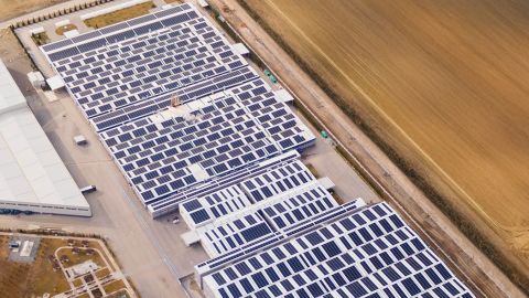 Unternehmen Nutzen Weiterhin Solarkraft Mit CW Enerji Solarmodulen