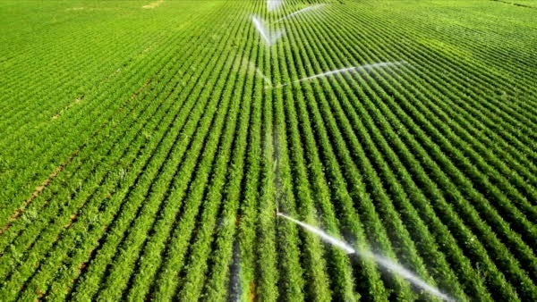 Solarbetriebene Landwirtschaftliche Bewässerungspakete